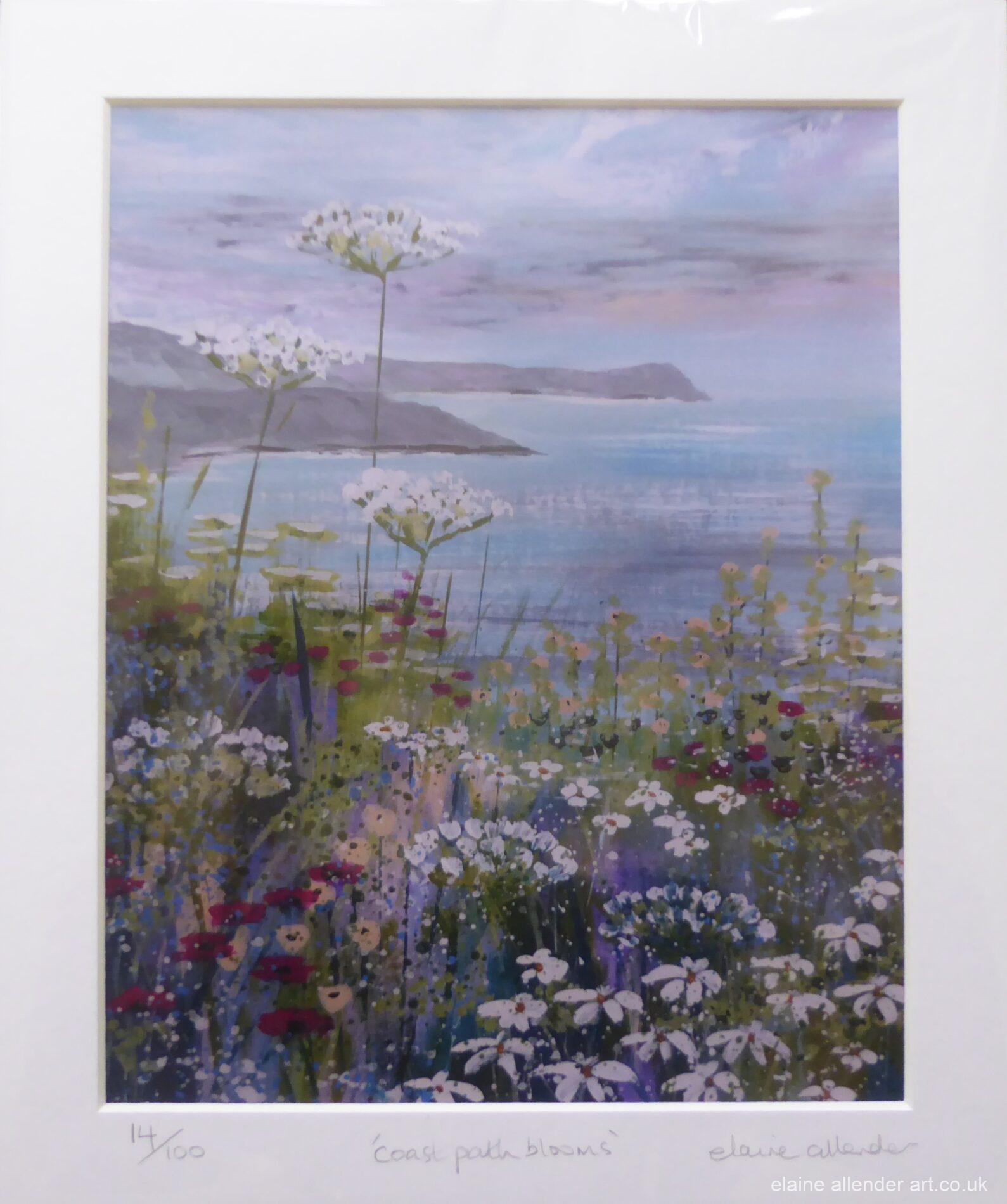 Coast Path Blooms